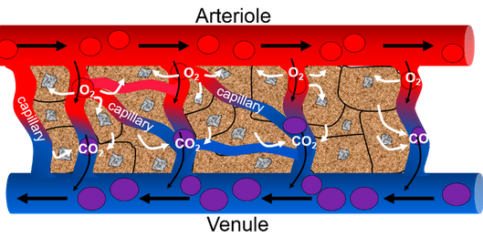 image-1660066498273.png