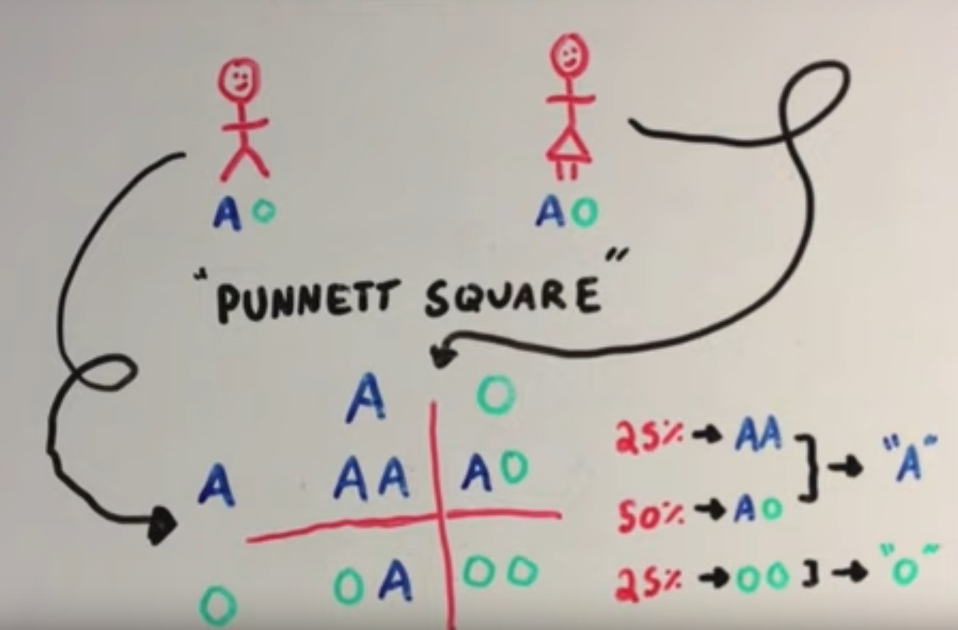 image-1660175711417.png