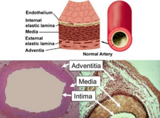 image-1660487619580.png