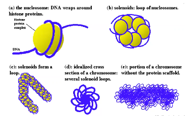image-1661882236190.png
