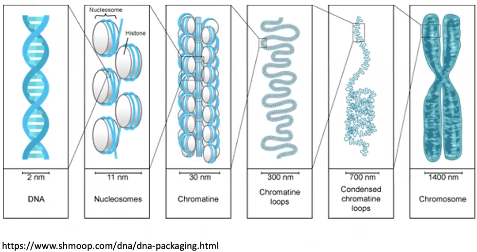image-1661882645622.png