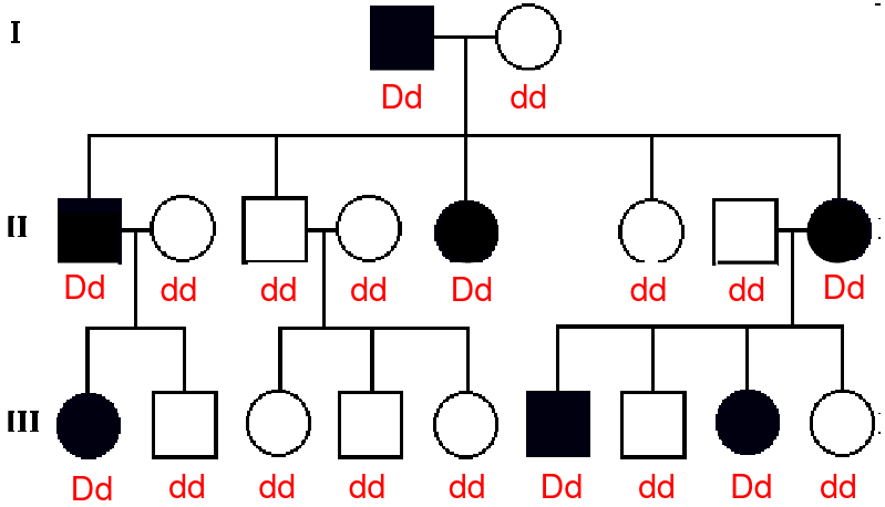 image-1663168885447.png