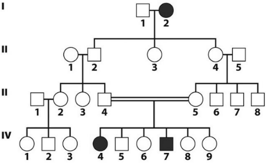 image-1663169001798.png
