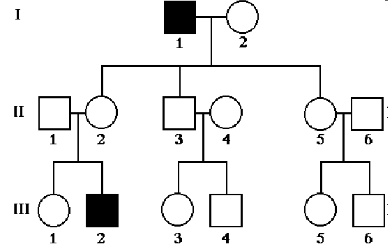 image-1663169031404.png