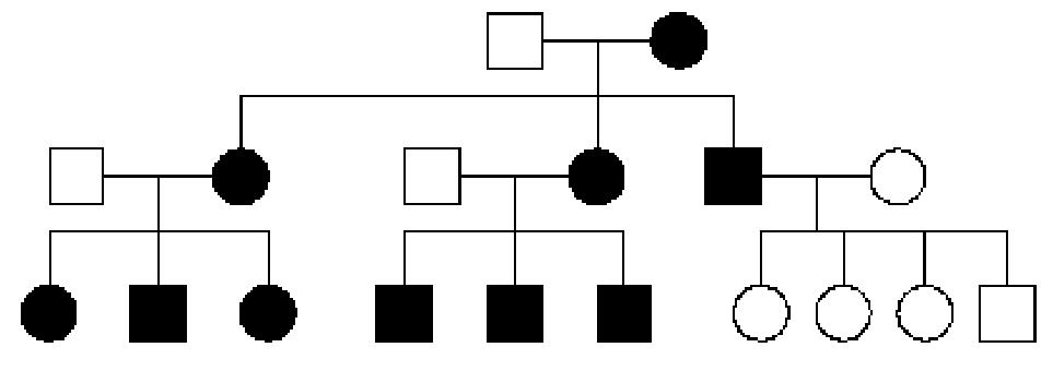 image-1663169262282.png