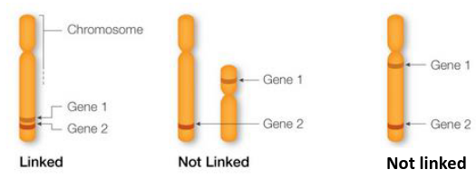 image-1663625197774.png