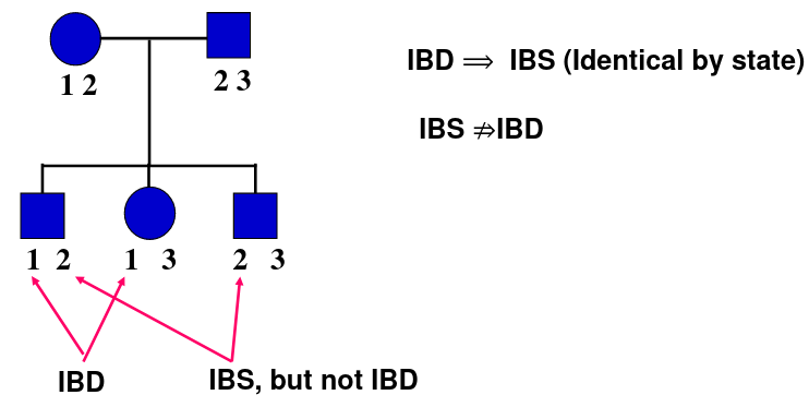 image-1663631210060.png
