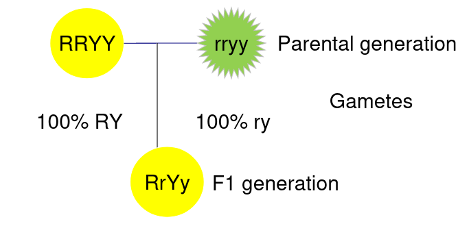 image-1663858116819.png