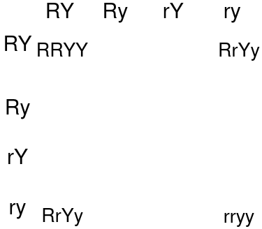 image-1663858511292.png