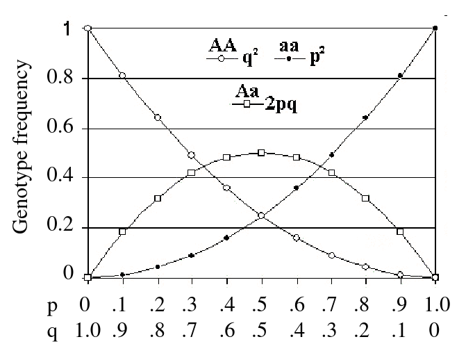 image-1664839771200.png