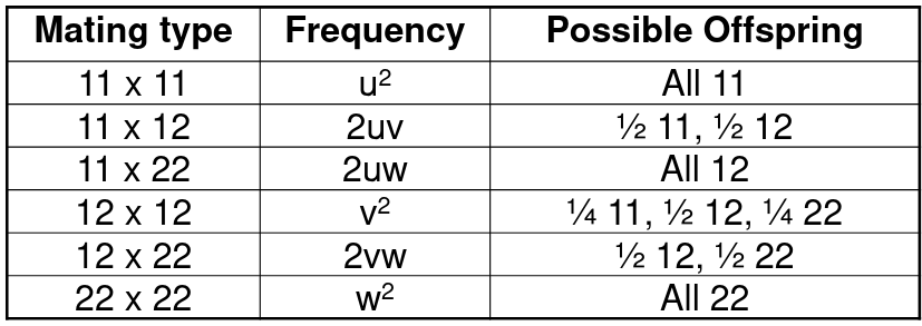 image-1664840002929.png