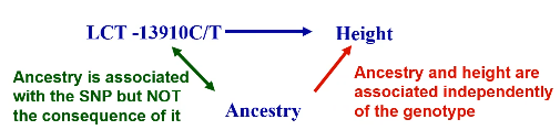 image-1667394044217.png