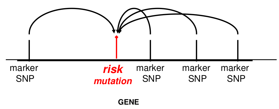 image-1667409934425.png