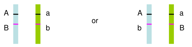 image-1667411325955.png