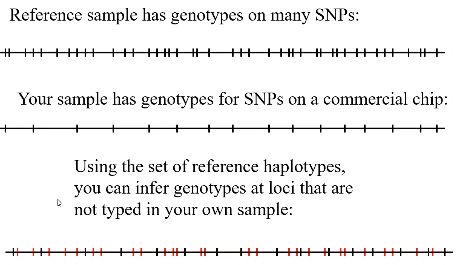 image-1667589046111.png