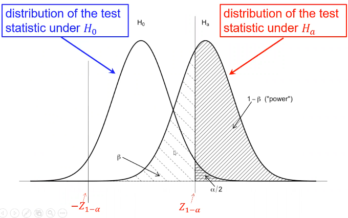 image-1668094463033.png