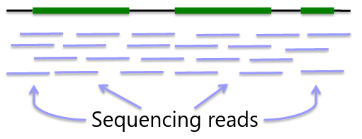 image-1668973412196.png