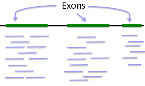 image-1668973539321.png