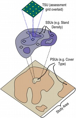 image-1668993064130.png